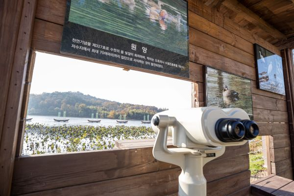 익산시, 자연·사람 공존하는 ‘생태관광 메카’ 부상(금마저수지 조류 관찰대) 축소.jpg